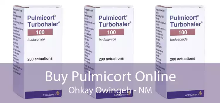 Buy Pulmicort Online Ohkay Owingeh - NM